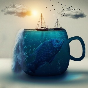 alt_1Başarısoft | Bilgi Teknolojileri Akademisi