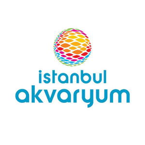 Başarısoft | Bilgi Teknolojileri Akademisi